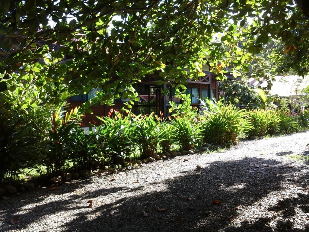 Kenaki Lodge Puerto Viejo de Talamanca Buitenkant foto