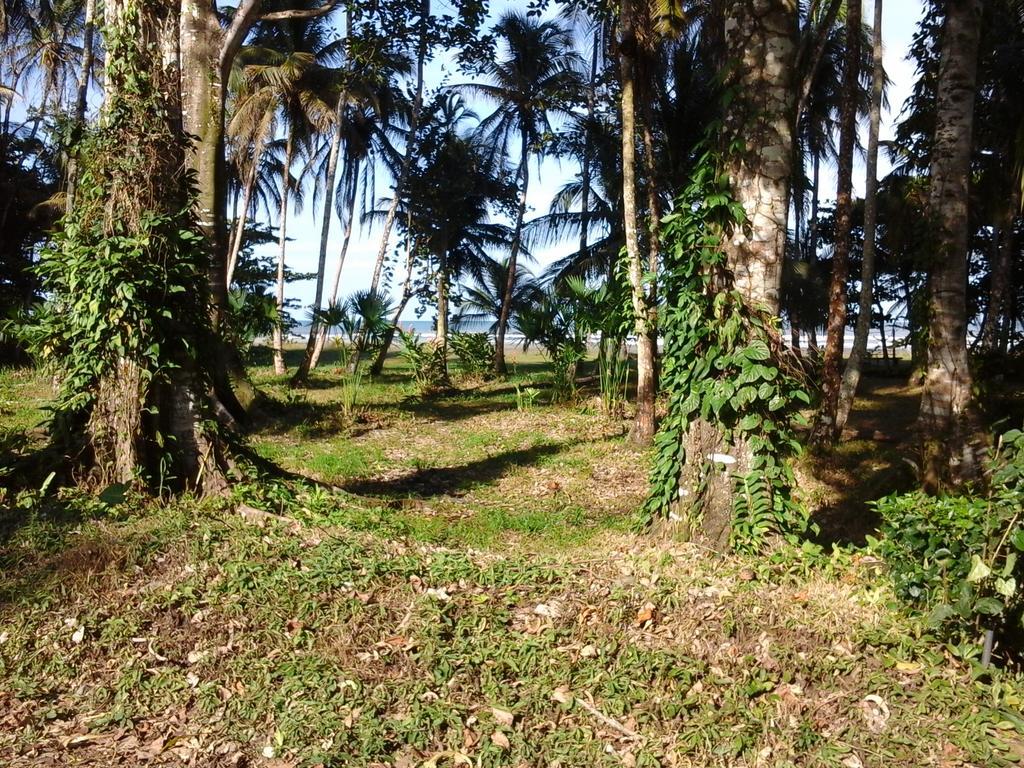 Kenaki Lodge Puerto Viejo de Talamanca Buitenkant foto