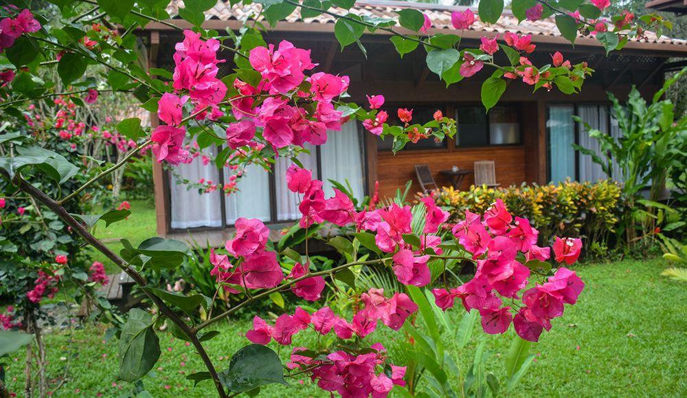 Kenaki Lodge Puerto Viejo de Talamanca Buitenkant foto